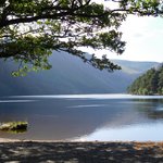 Photo taken by Robin F