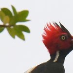 Photo taken by Graeme W