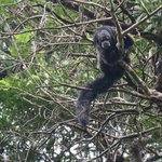 Monk saki | Photo taken by Wendy D