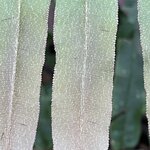 Photo taken by Sheila G