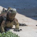 Photo taken by Barb M