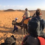 Camel trek | Photo taken by Victoria M