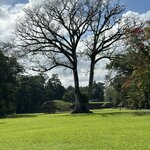 Photo taken by Solomon F