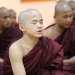 Photo taken by Pip S