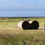 Photo taken by Sara W