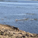 Photo taken by rhonda c