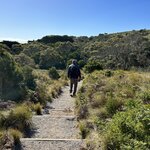 Photo taken by Amy Z