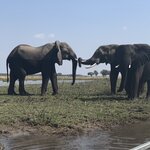 Photo taken by Brad P