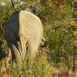 Photo taken by Linette B