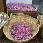 Photo taken by Paula H