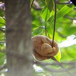 Photo taken by David G