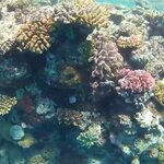 Photo taken by Scott L