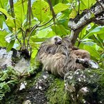 Photo taken by Susan O