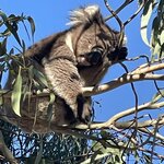 Photo taken by Susan C