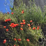 Photo taken by Marcia B