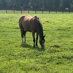 Photo taken by Shamma L