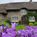 Adare thatched cottages  | Photo taken by Lori R