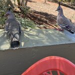 Photo taken by Katie E