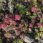 Photo taken by Nan K