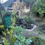 Photo taken by Jill T