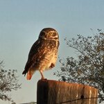 Photo taken by Adriene A