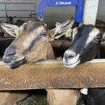 Photo taken by Jodi P