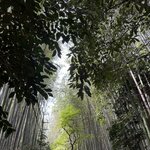 Photo taken by Hanna J