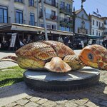 Photo taken by Jon C