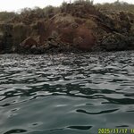 Photo taken by Richard P