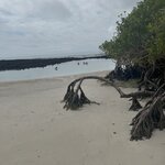 Photo taken by Thomas L