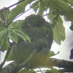 Photo taken by Sabrina R