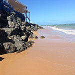 Photo taken by Albert B