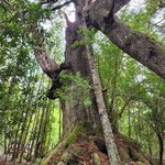 Photo taken by Devon B