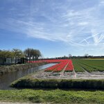 Photo taken by Jennifer D