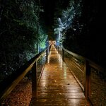 Photo taken by Jeff G