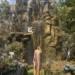 Photo taken by Collins M