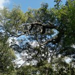 Photo taken by Beth S