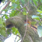 Photo taken by Lauren A