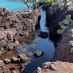 Photo taken by Mark A