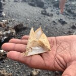 Photo taken by Stephanie A