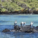 Photo taken by Jayme B