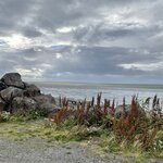 Photo taken by Carmen W