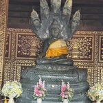 Photo taken by Leslie S