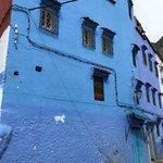 Chefchaoune  | Photo taken by Zareen A