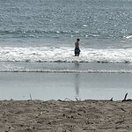 Photo taken by Robin W