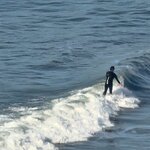 Photo taken by Mark C