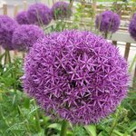 Photo taken by mindy n