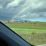 Photo taken by SUE S