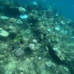 Photo taken by Cindy H