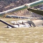 Cayman | Photo taken by Elisa M